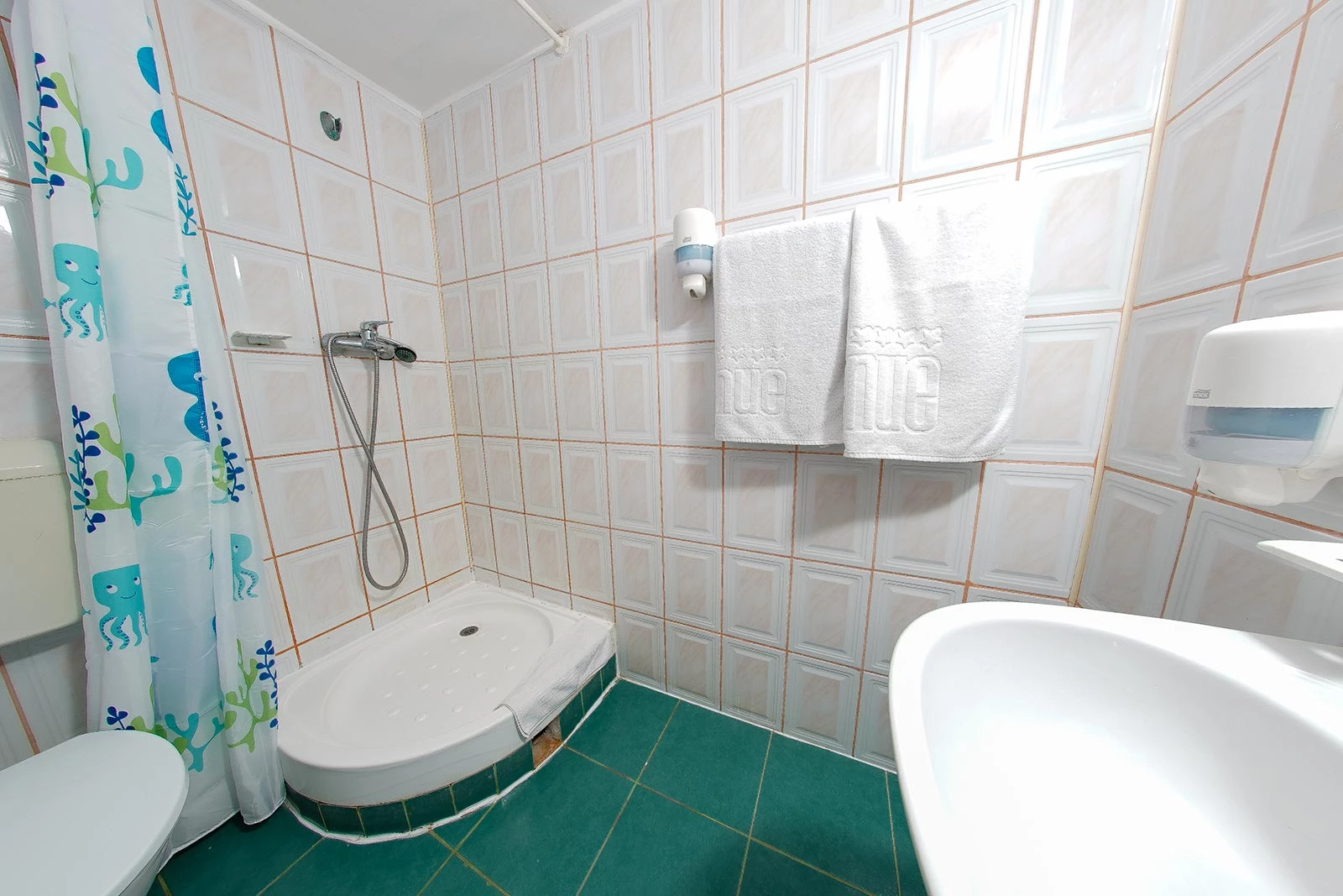 Image 1